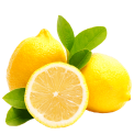 cat-lemons-Custom.png