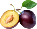 plum_PNG8673-Custom-1.png